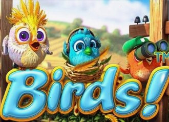 birds